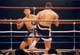 vs_sefo6