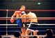 vs_sefo7