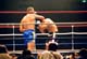 vs_sefo8
