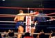 vs_sefo9